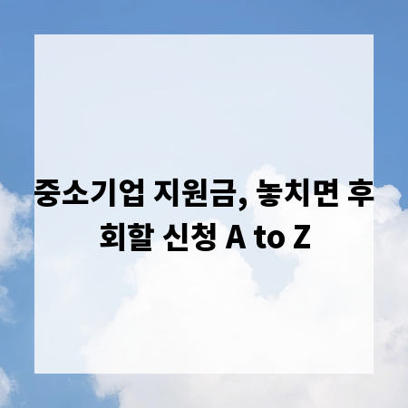 중소기업 지원금, 놓치면 후회할 신청 A to Z