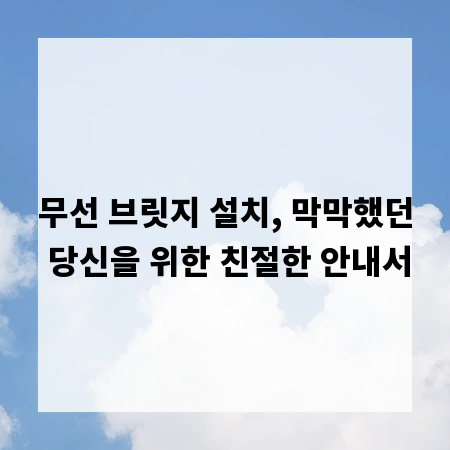 무선 브릿지 설치, 막막했던 당신을 위한 친절한 안내서