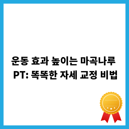 운동 효과 높이는 마곡나루 PT: 똑똑한 자세 교정 비법