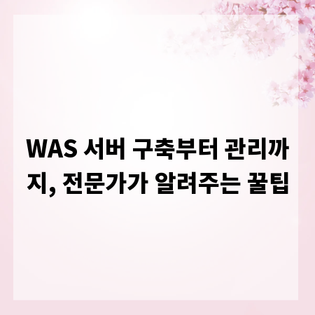 WAS 서버 구축부터 관리까지, 전문가가 알려주는 꿀팁