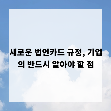새로운 법인카드 규정, 기업의 반드시 알아야 할 점