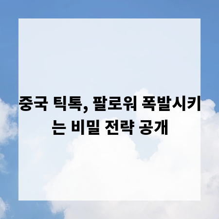 중국 틱톡, 팔로워 폭발시키는 비밀 전략 공개