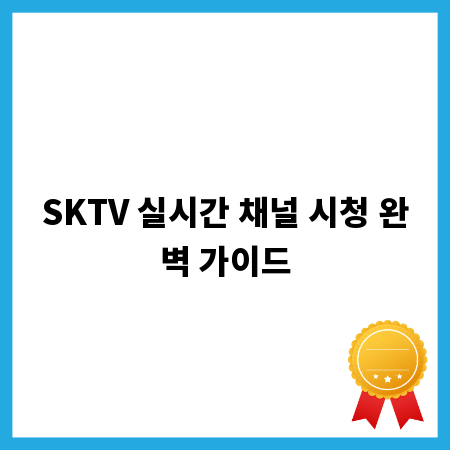 SKTV 실시간 채널 시청 완벽 가이드