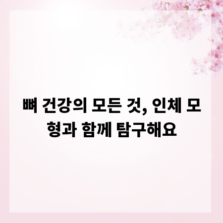 뼈 건강의 모든 것, 인체 모형과 함께 탐구해요