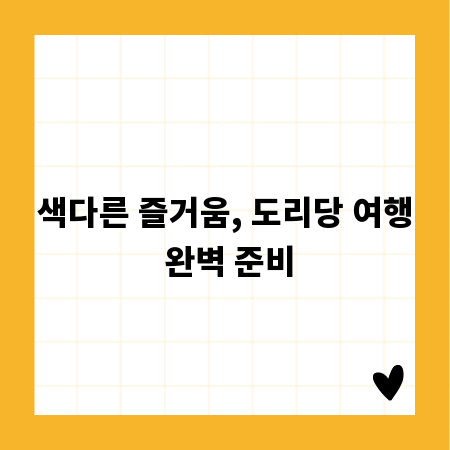 색다른 즐거움, 도리당 여행 완벽 준비