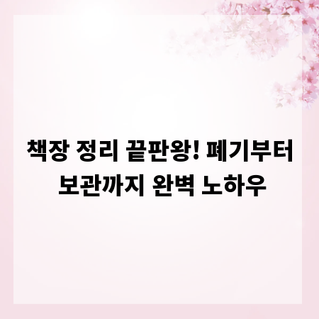 책장 정리 끝판왕! 폐기부터 보관까지 완벽 노하우