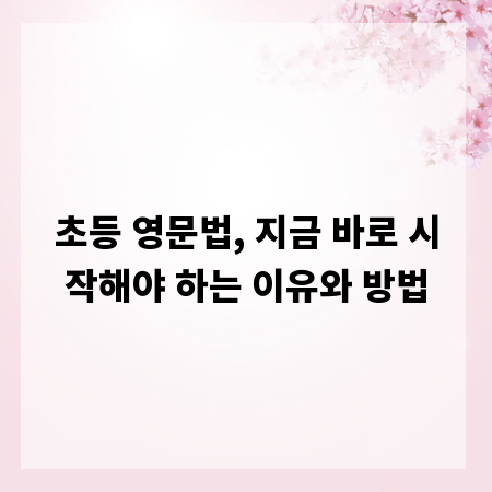 초등 영문법, 지금 바로 시작해야 하는 이유와 방법