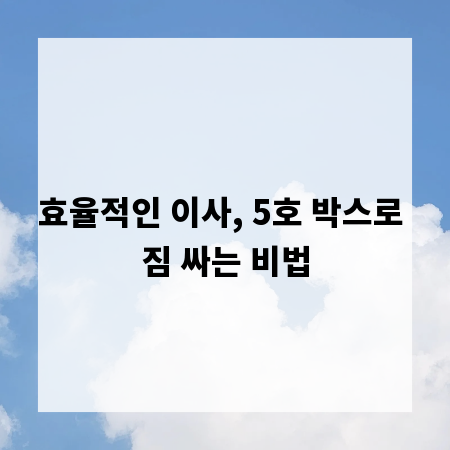 효율적인 이사, 5호 박스로 짐 싸는 비법