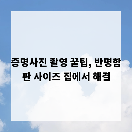 증명사진 촬영 꿀팁, 반명함판 사이즈 집에서 해결